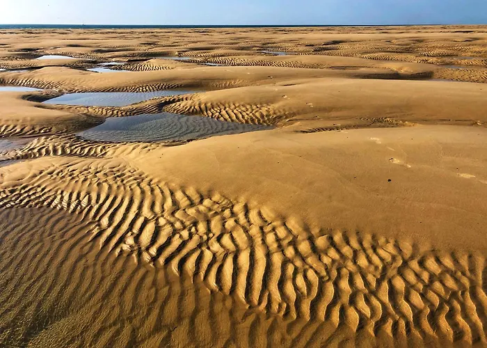 Hébergement de vacances Rose Des Vents - Piscine Jusqu'au 15 Septembre, Jardin Botanique, Commerces&mer Surtainville