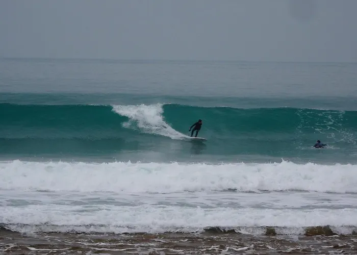 Rose Des Vents - Piscine Jusqu'au 15 Septembre, Jardin Botanique, Commerces&mer Surtainville